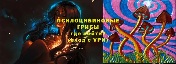 хмурый Зеленокумск